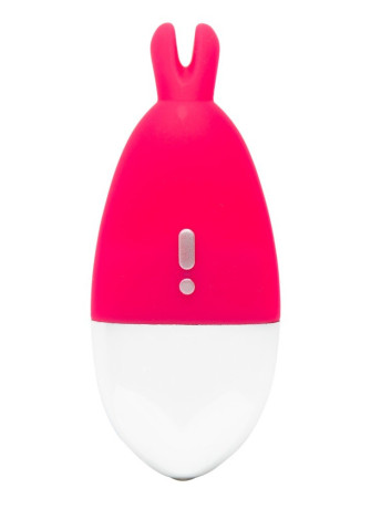 knicker vibrator